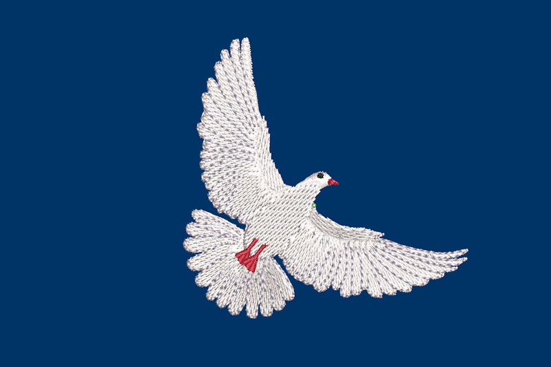 Lade das Bild in Galerie -Viewer, Taube im Flug
