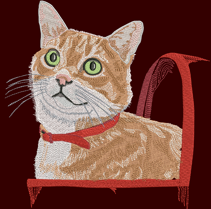Gatto Janko