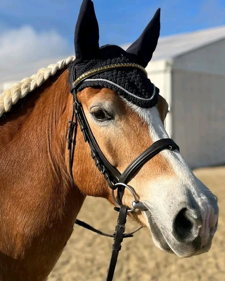 Lade das Bild in Galerie -Viewer, Nelly
